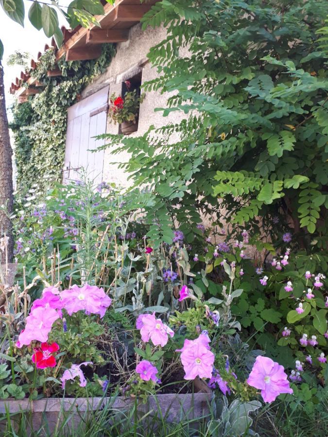 L'Orme-Vial Bed & Breakfast Saint-Galmier Exterior photo