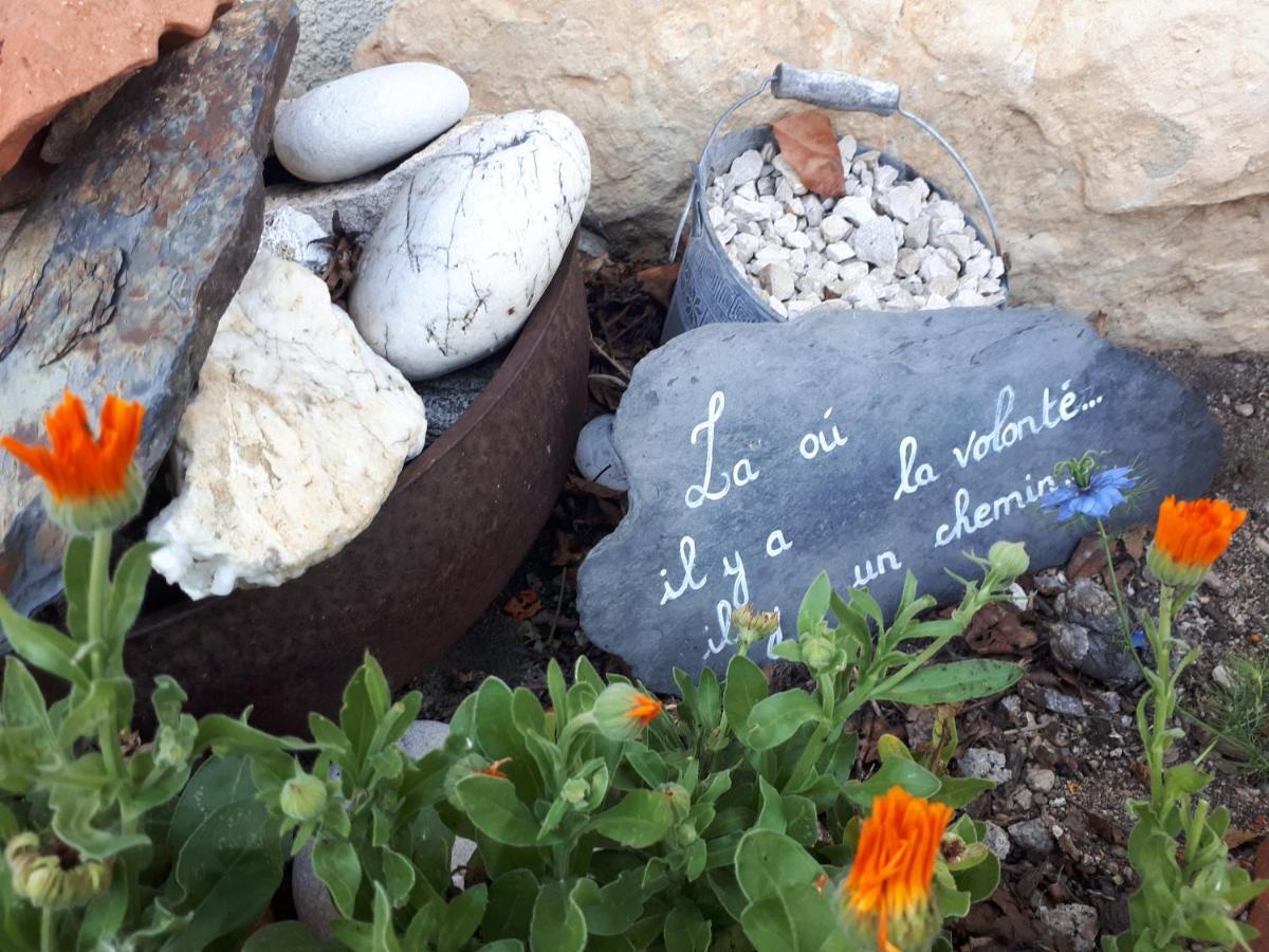 L'Orme-Vial Bed & Breakfast Saint-Galmier Exterior photo