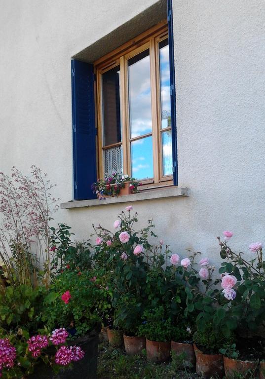 L'Orme-Vial Bed & Breakfast Saint-Galmier Exterior photo